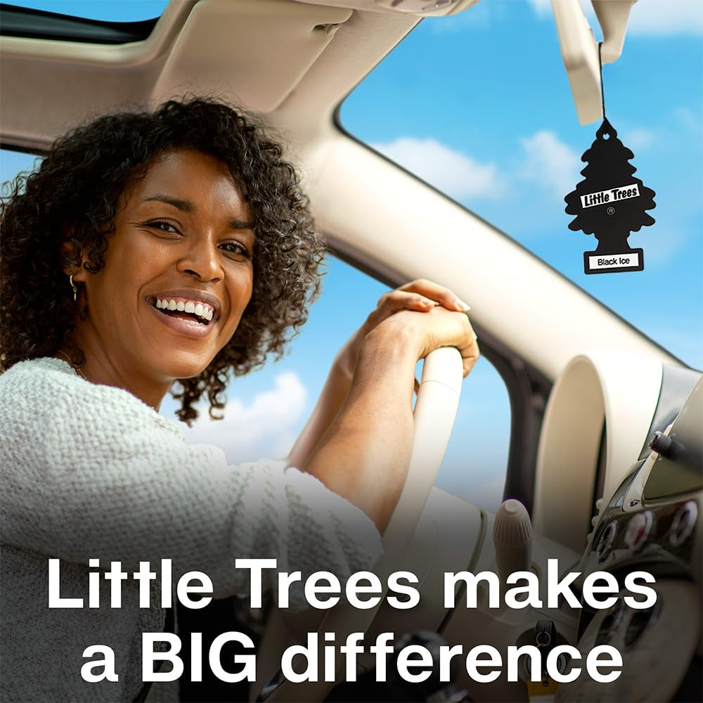 LITTLE TREES Car Air Freshener | Hanging Tree Provides Long Lasting Scent for Auto and Home | Black Ice, 24 Air Fresheners